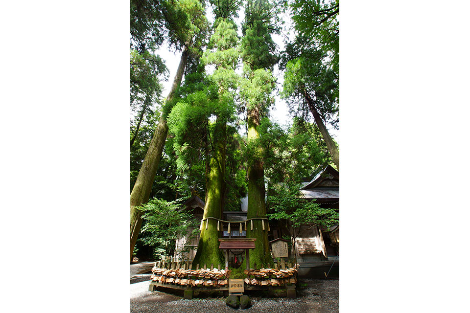 高千穂峡めぐり