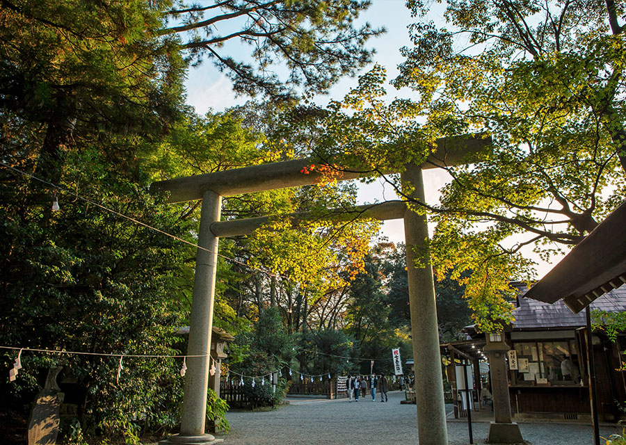 天岩戸神社・天安河原