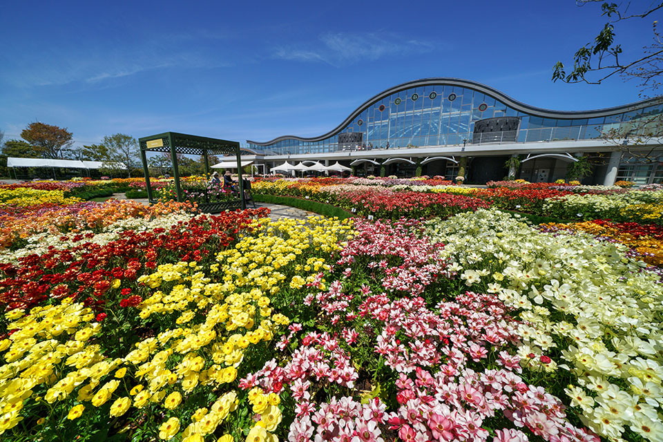 自然を感じながらゆっくりとお散歩