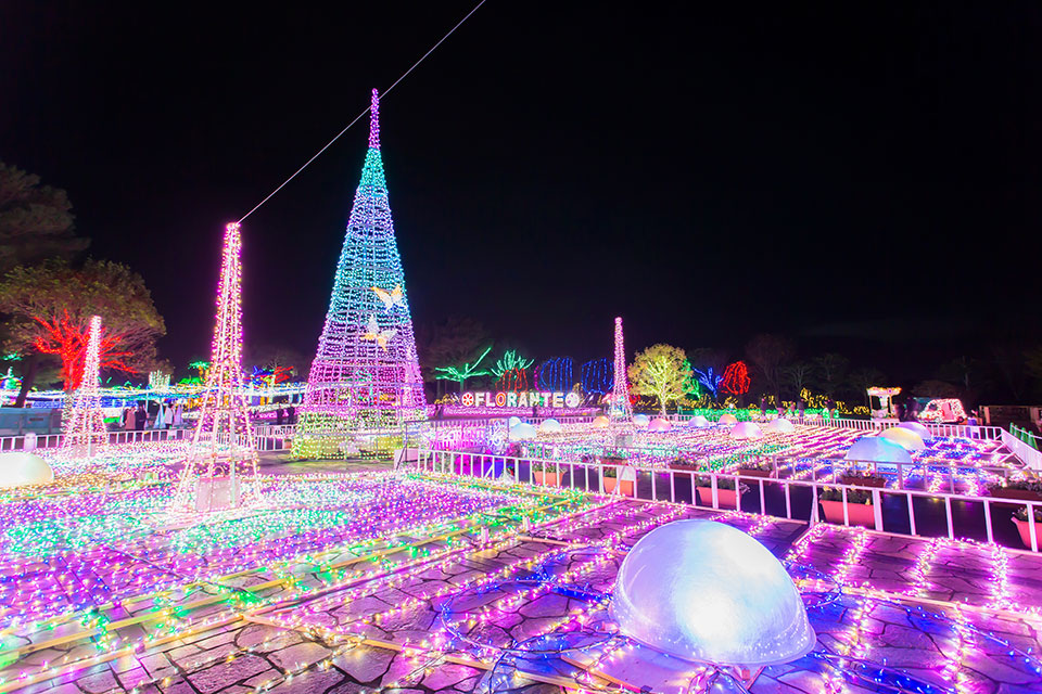 自然を感じながらゆっくりとお散歩