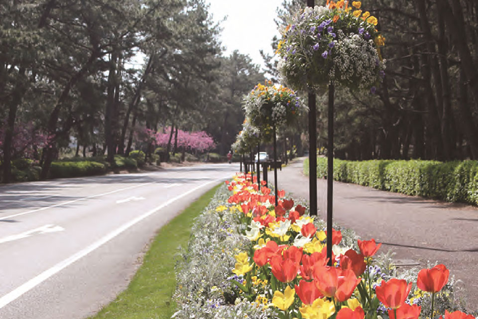 自然を感じながらゆっくりとお散歩