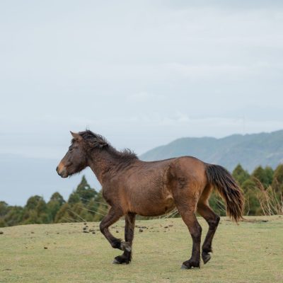 冬シーズンの宮崎で開催されるおすすめ情報！
