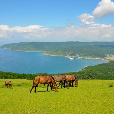 宮崎市内のおすすめ情報！宮崎空港と市街地を結ぶ快速便「エアポートライナー」12月1日より運行開始！