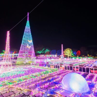 ★冬の宮崎で楽しめるイルミネーションスポットのご紹介★