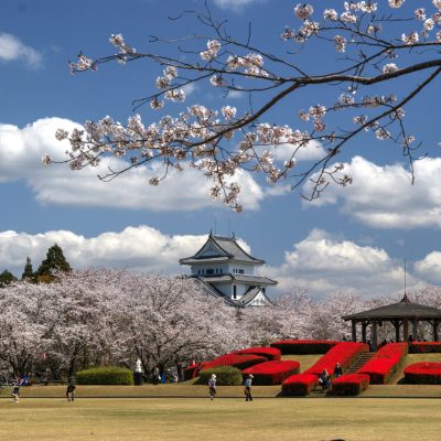 2026年春におすすめの桜スポット情報！